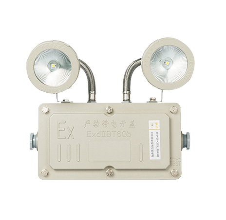 集中电源集中控制型消防应急照明灯具